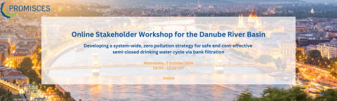 Stakeholder Workshop CS 2_Online