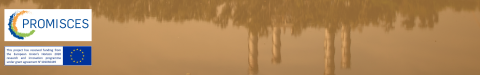 PROMISCES NEwsletter 3 Banner.png