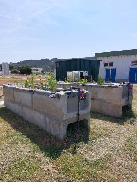 20240717_120510 menos.jpg