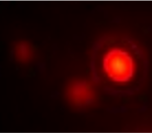 Picture_4.4.3_4.4.5 (1) photo credit - UNISOFIA.png