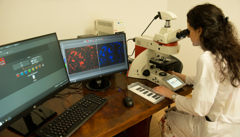 Picture_4.4.3_4.4.5. (2)_photo credit - Simon Varsano.jpg