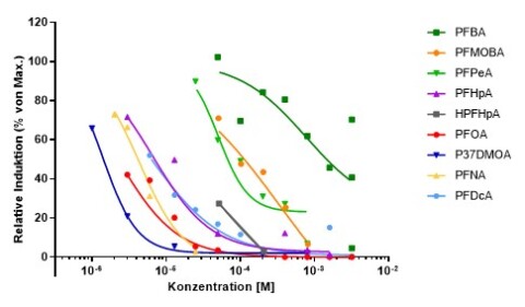 Newsletter 2 - UBA.jpg