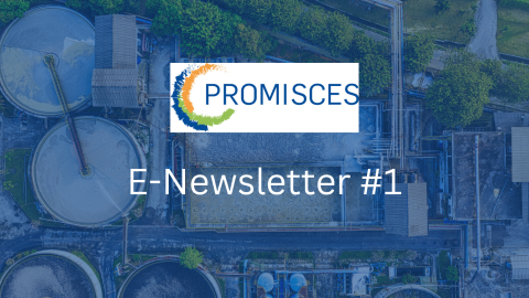 E-Newsletter #1.png