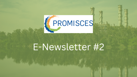 E-Newsletter #2.png