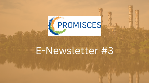 E-Newsletter #3.png