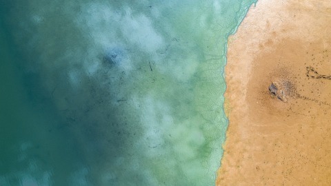 sea-g047adcbb1_1280.jpg