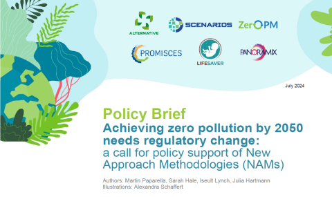 Policy Brief